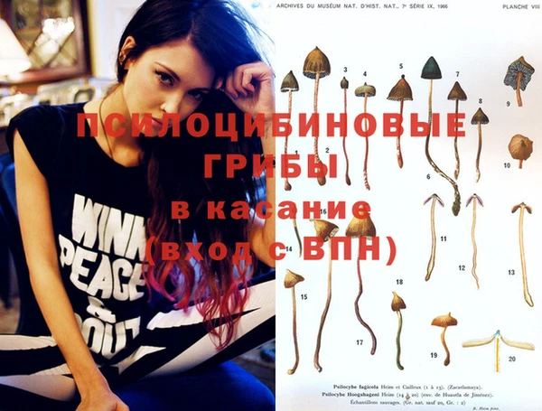 ECSTASY Богородицк