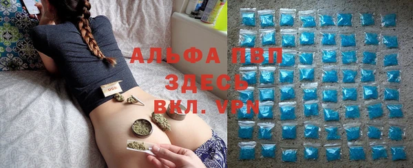 ECSTASY Богородицк