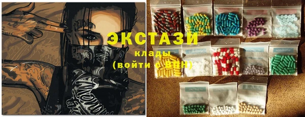 ECSTASY Богородицк