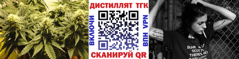 где купить   Балашиха  ТГК концентрат 