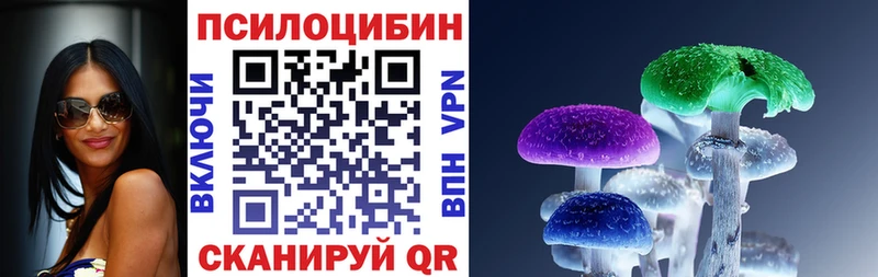 купить наркотики цена  Балашиха  Галлюциногенные грибы GOLDEN TEACHER 